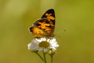 DSC_5545.jpg