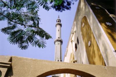 Distant Minaret