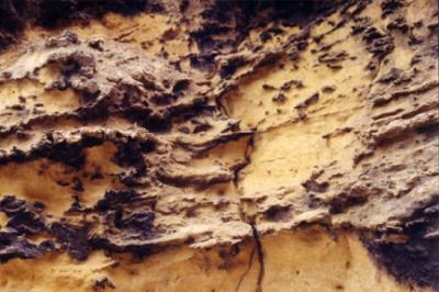 Cliff Wall