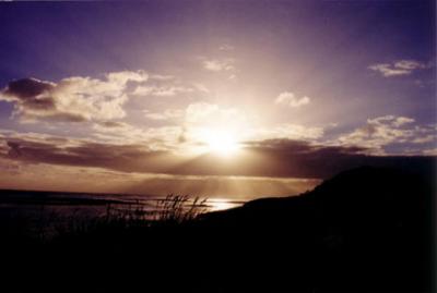 Sunset Silhouette