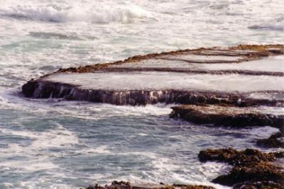 Subtle Waves