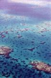 Great Barrier Reef 3