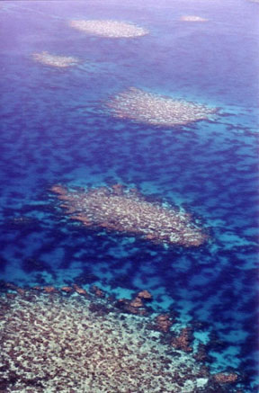 Great Barrier Reef 1