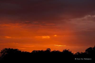 Red Skies Over Oosterzele