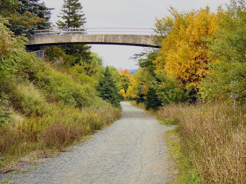 Bowring Park in Autumn 016