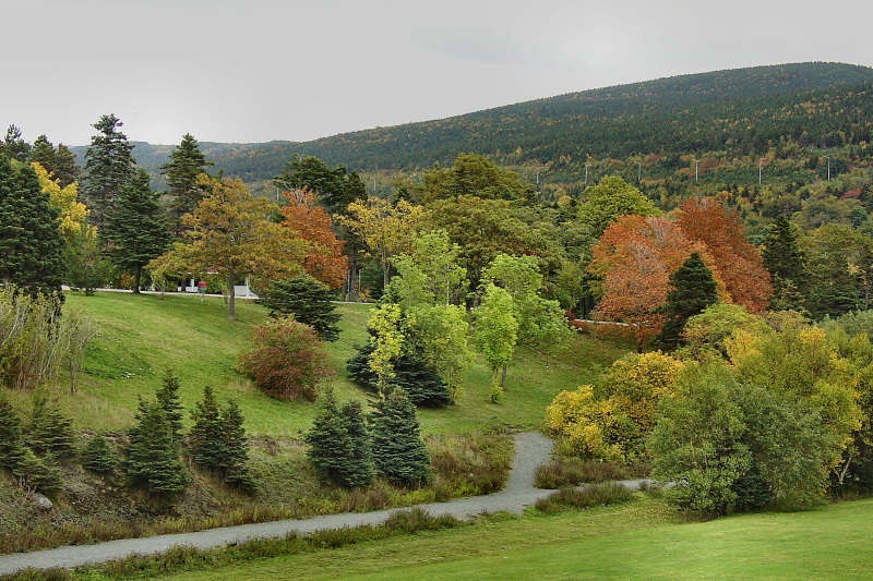 Bowring Park in Autumn 023