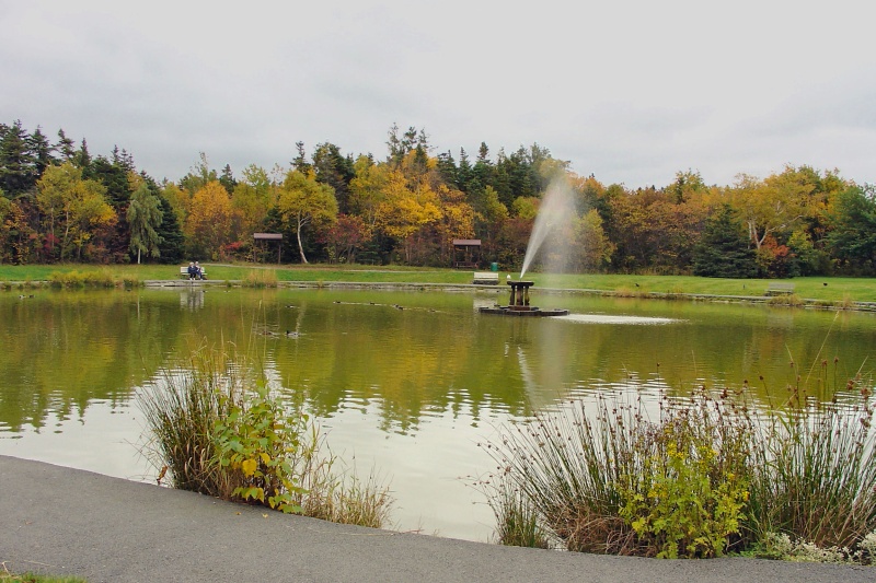 Bowring Park in Autumn 024