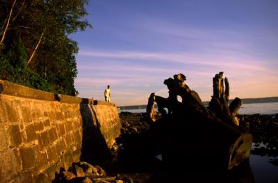 Seawall2.jpg