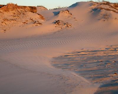 Dawn Dune