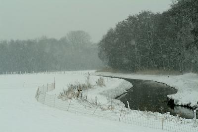 DSCF9772.jpg