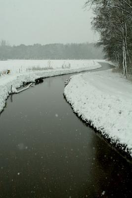 DSCF9774.jpg