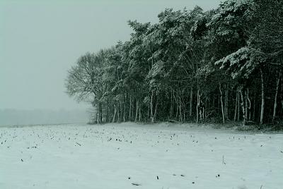 DSCF9776.jpg