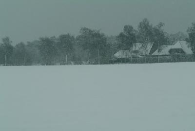 DSCF9778.jpg