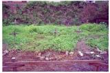 Scanned-Picture330070.jpg