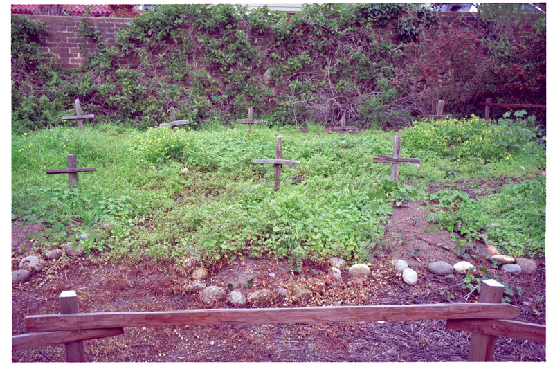 Scanned-Picture330070.jpg