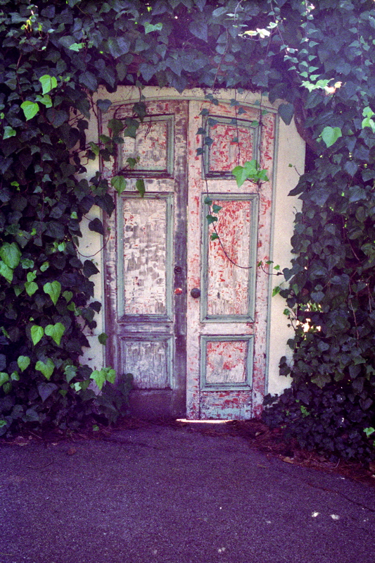 Scanned-Picture330106.jpg