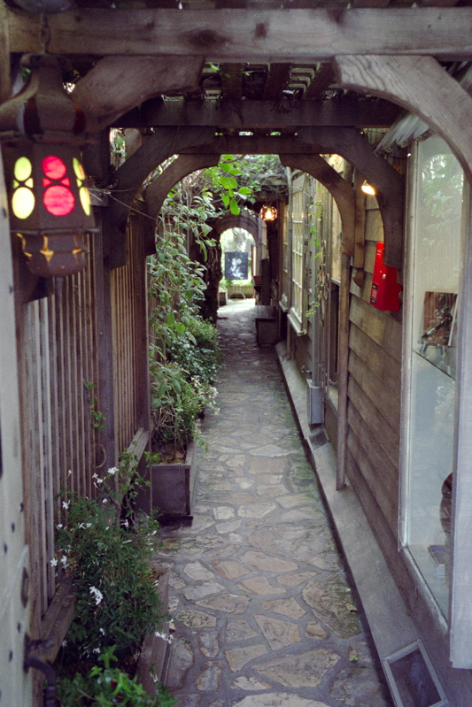 Scanned-Picture330115.jpg