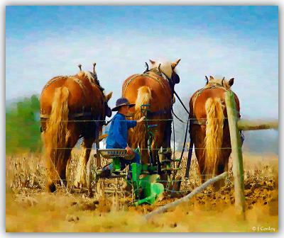 Plowing-Boy-in-Oil.jpg
