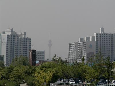Appartments and tower in Daegu