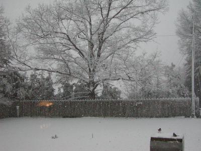 u40/jcr3rd/medium/26085133.ViewOfSnowStormFromBedroomwindow.jpg