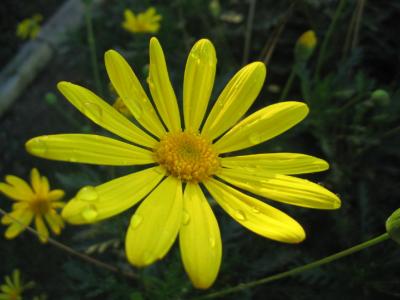 F0312_2_1.JPG