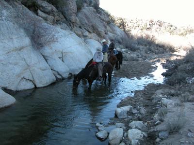 Water Hole