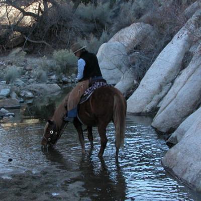 Valentine's Day at the Ranch