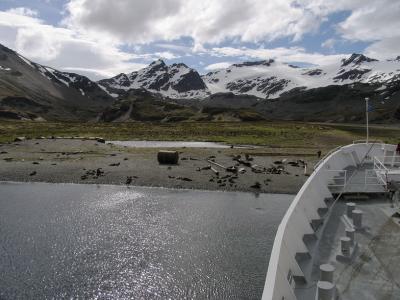 In 1961, when the station was abandoned, fur seals were considered extinct in this area.