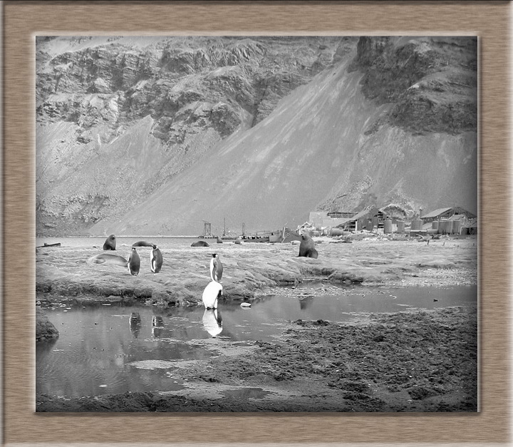 In the spirit of Frank Hurley: a quadtone image of what was once called the slum of the Southern Ocean.