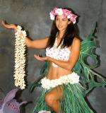 Masquerade - Polynesian Fairy
