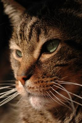 DSC_4836.JPG
