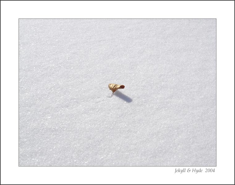 Frozen