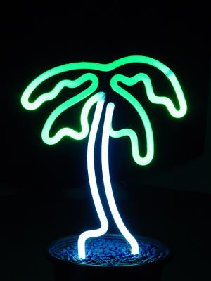 u40/jerrykneupper/medium/25980004.neonpalmtree.jpg