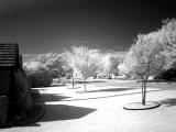 DSC07201 BW.jpg
