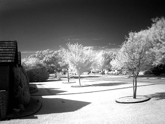 DSC07201 BW.jpg