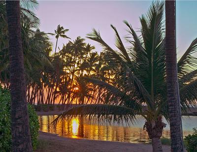 Kona Coast Sunset