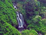 Lower Umauma Falls