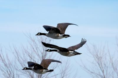 CRW_9733.jpg