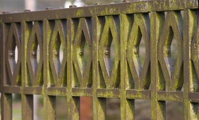 Mossy gate