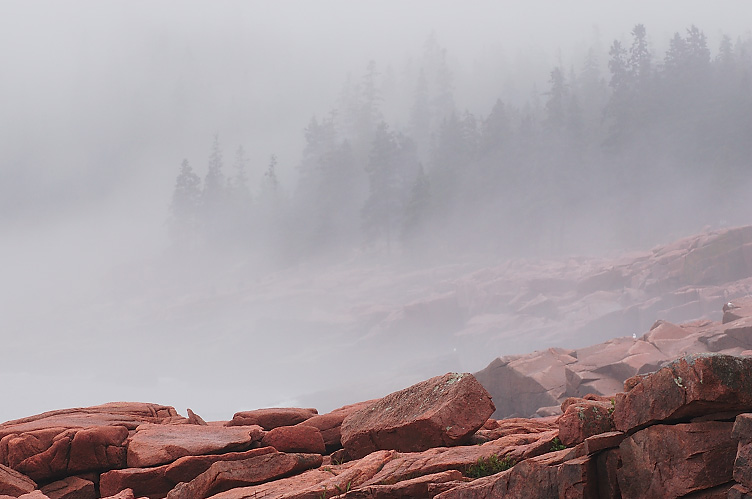 Otter Cliff - Acadia National Park
