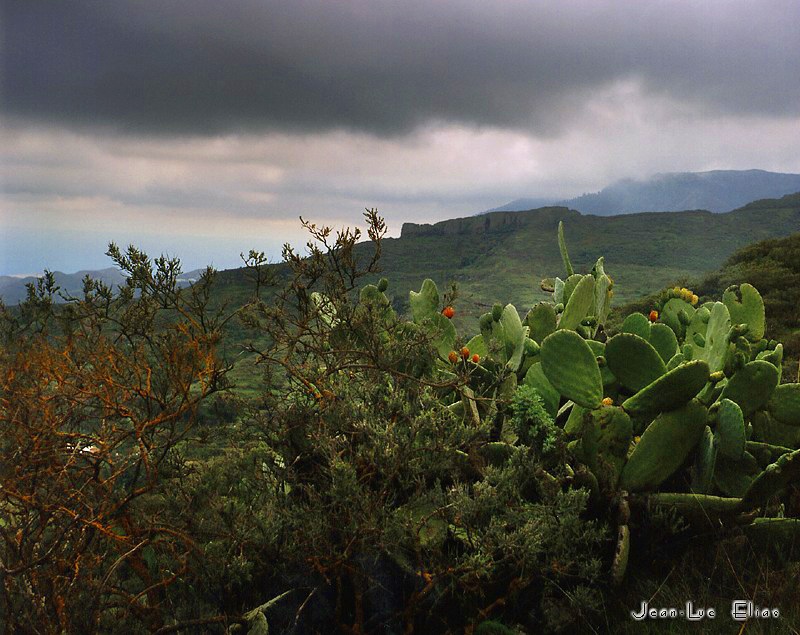 Grancanaria2