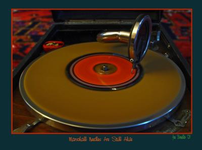 Marschall's needles are still alive - Challenge 85: Associates