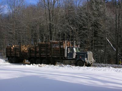 Big Log Truck