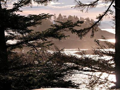 Morning mist at Ivory Island