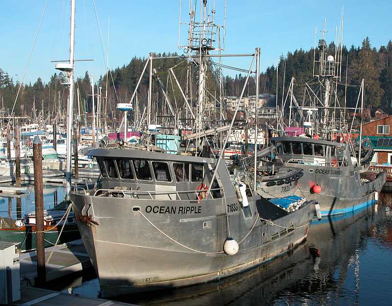 Fishing boats