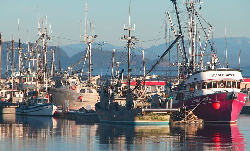 Marina