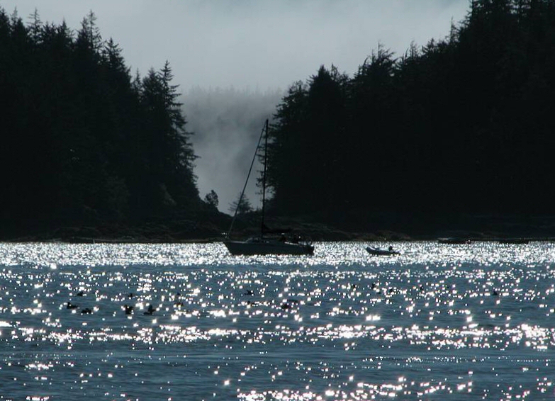 Setting Sail into the Fog