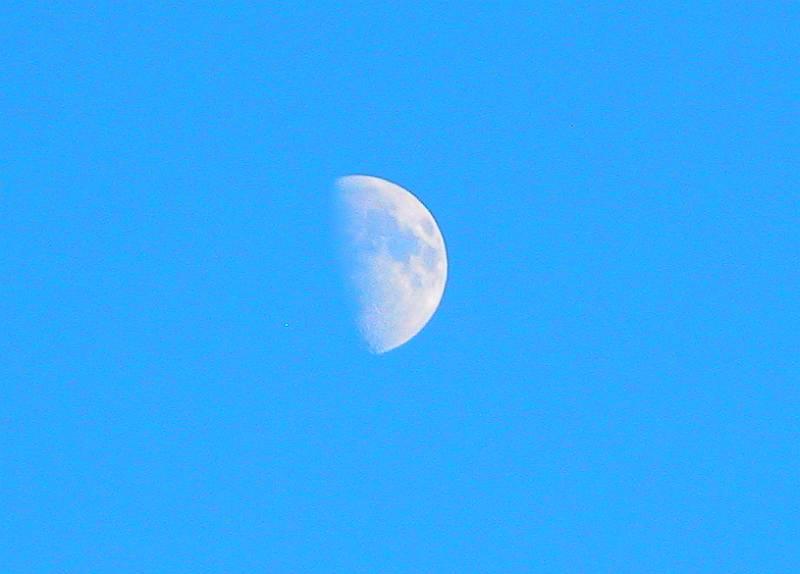 Daytime half moon