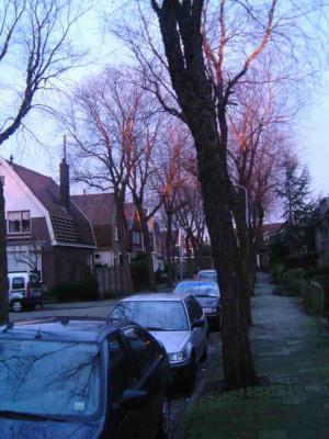 A view of Emmastraat, where Martha lives (somewhere at the -right- end)