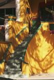 Feb 21 - dappled light